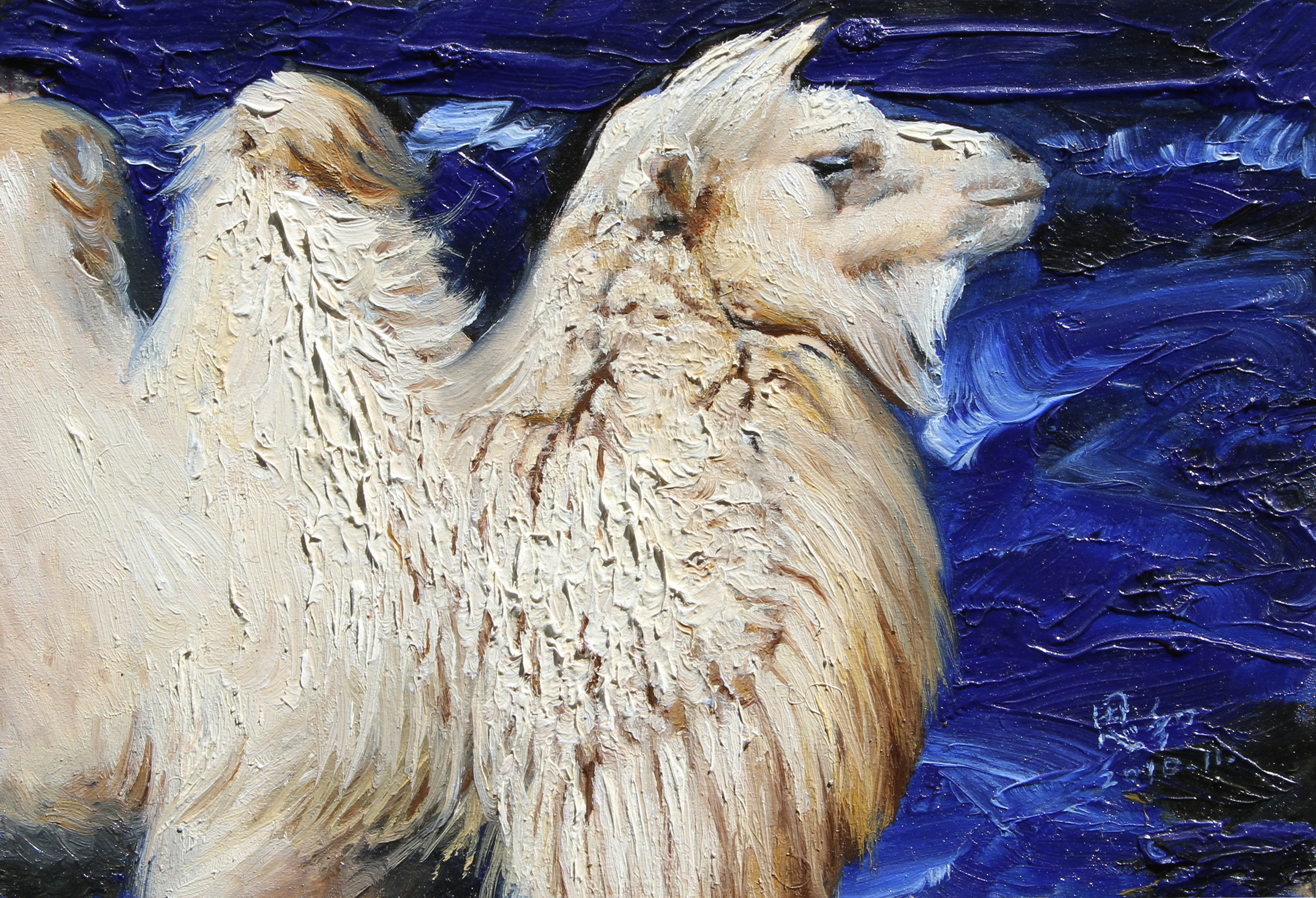 骆驼王恩和创作的一组美白驼,白骆驼肖像油画作品