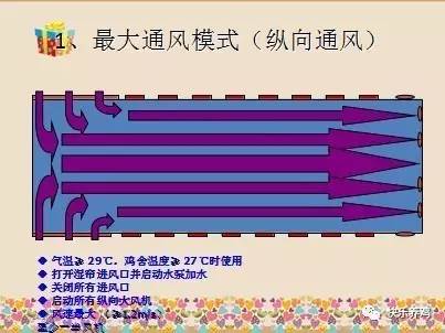 新思维养殖:夏季鸡舍纵向通风的操作要点