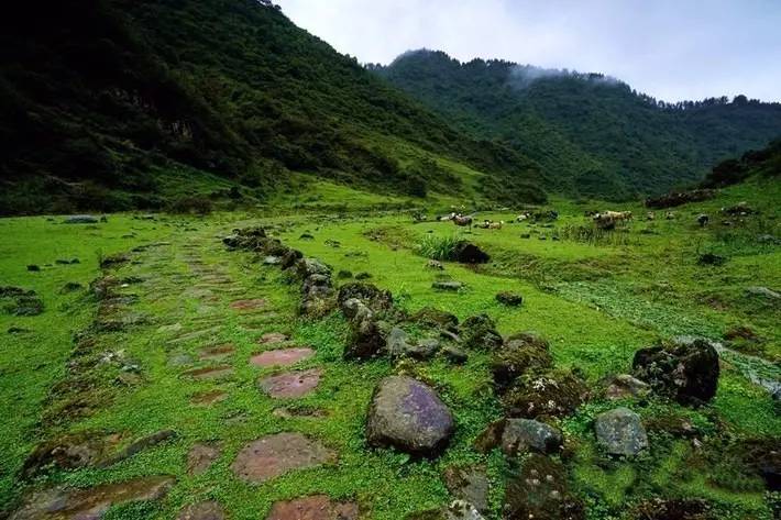 灵关古道清溪峡段▲登相营古驿站▲登相营古驿站▍来源:人民网 五彩