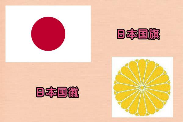 日本菊花标志图片
