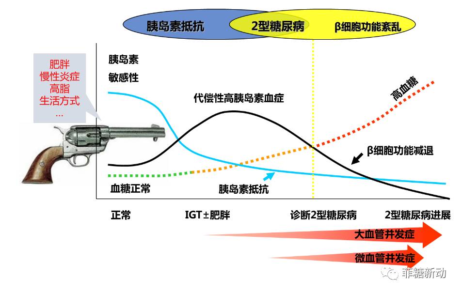 胰島β細胞專題探索糖尿病核心發病機制評估胰島功能開啟個體化醫療