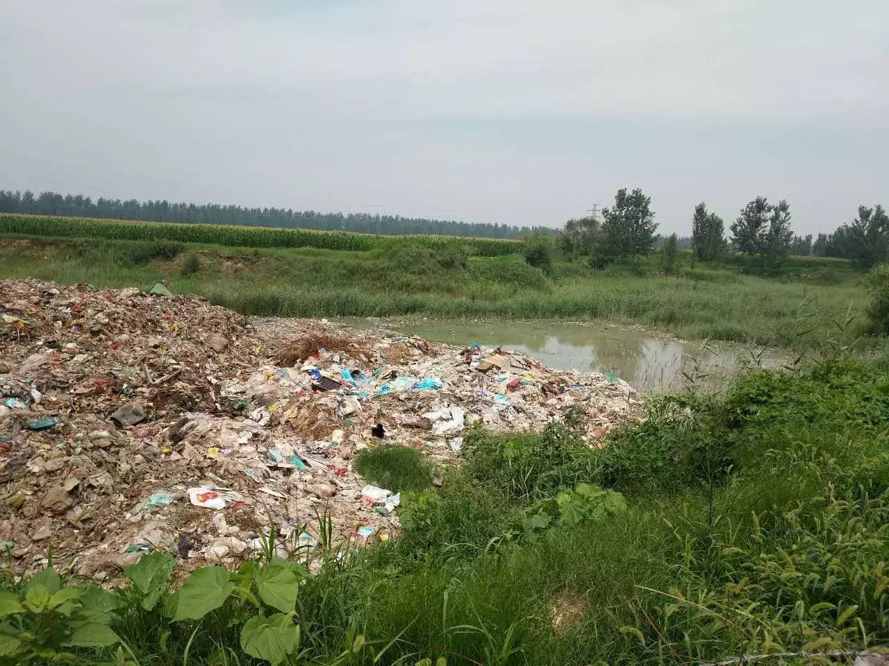 河西鎮南五里村西垃圾問題被群眾反映