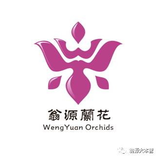 翁源兰花logo图片