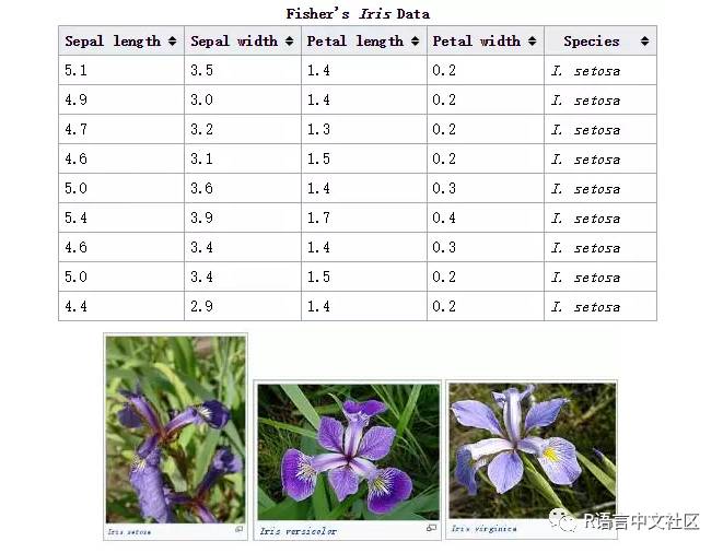 iris也称鸢尾花卉数据集,是一类多重变量分析的数据集.