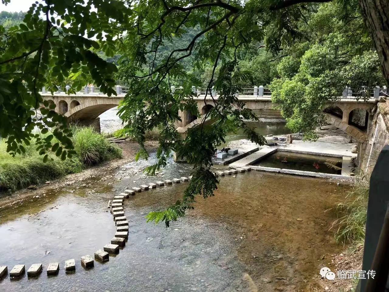 磨芋,空心餈,烏龜餈,肉餈粑,油茶,臨武鴨全席等一系列臨武特色美食