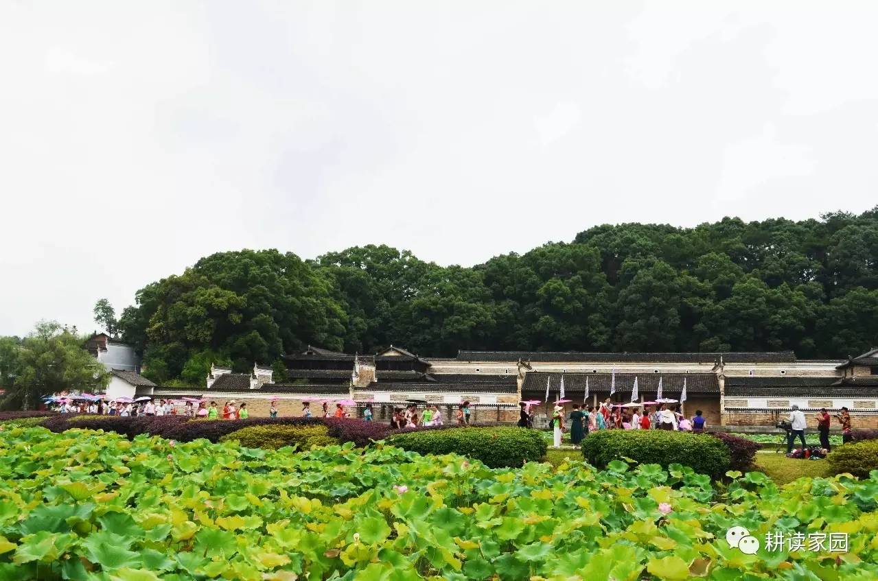 《乡间侯府在悲哀》一文后,方知申请先予执行收回曾国藩故居经营权