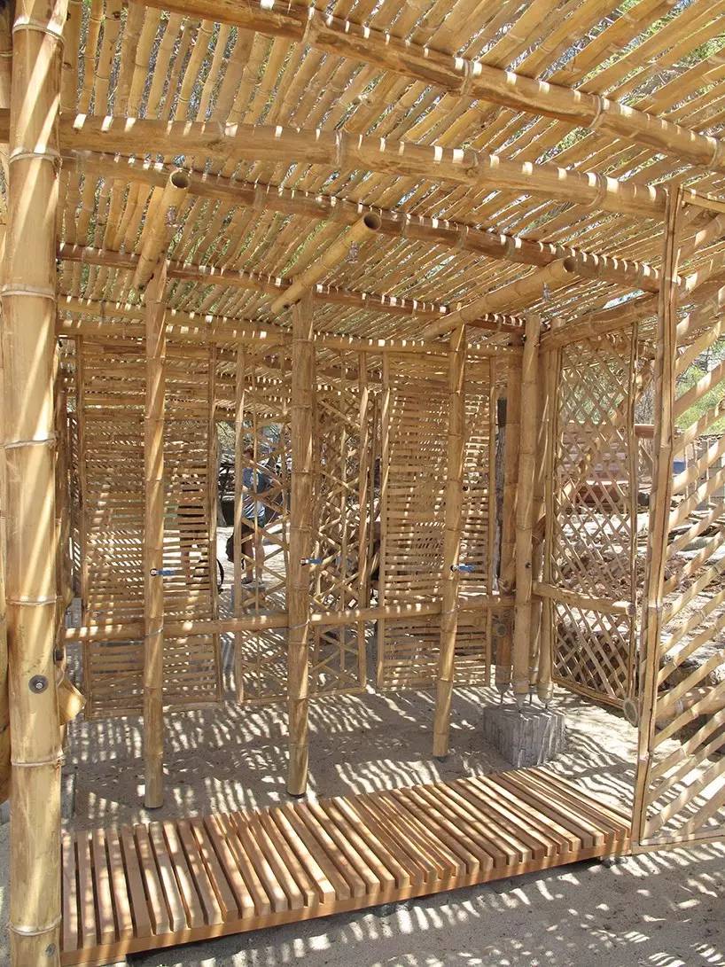 为原始设计开发的许多细节被重新用于遮阳棚竹子在加拉帕戈斯自然生长