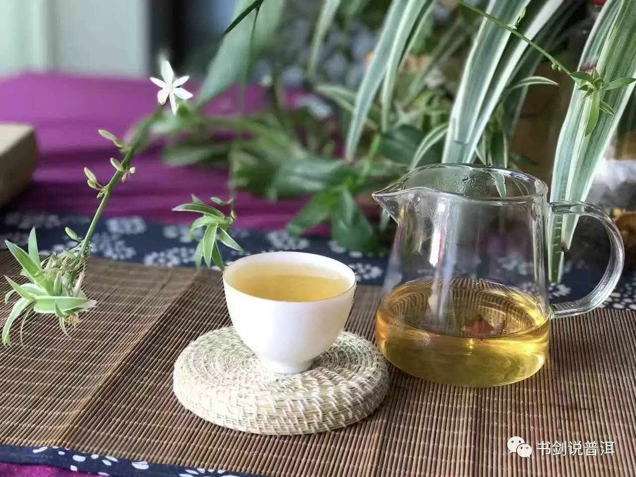 泡一壺茶在初秋等你