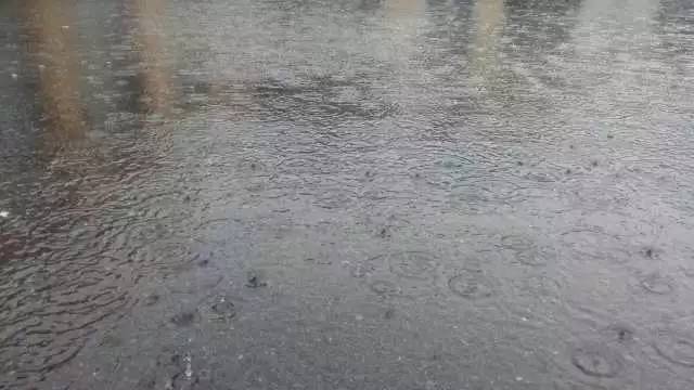 下雨挨浇图片