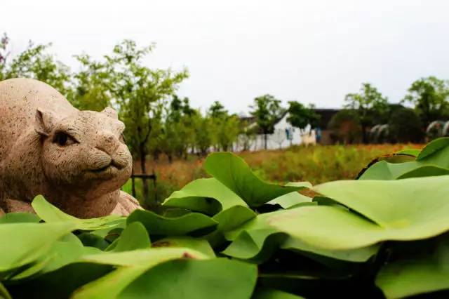 夏末秋初,一場舒心恰意之旅勢在必行——嬉樂灣生態農業示範園