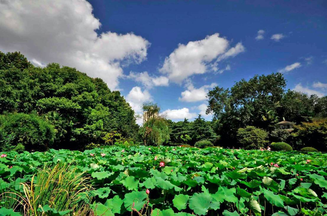 四平科技公園,民星公園,江浦公園