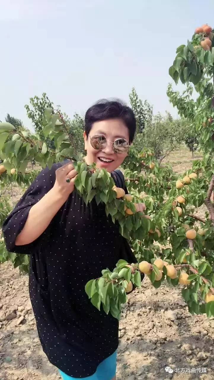 河北梆子大家张秋玲请记住经常露脸不一定让人欢迎,反而会让人生厌,像