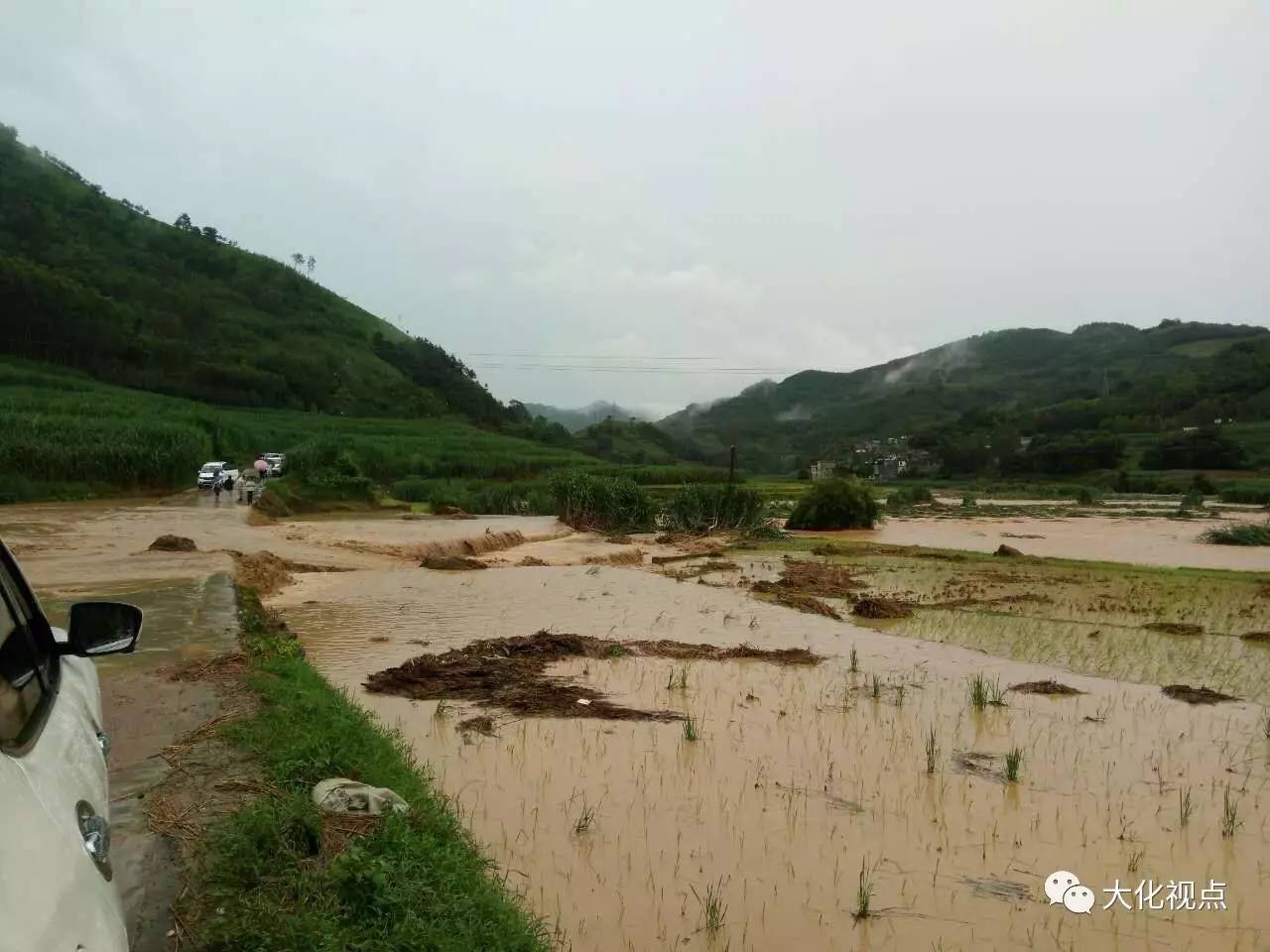 辽宁阜新唐伟厚图片