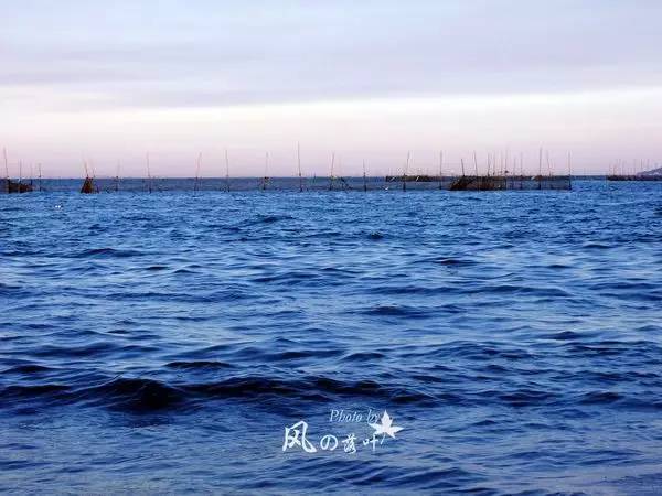 乍浦东沙湾图片