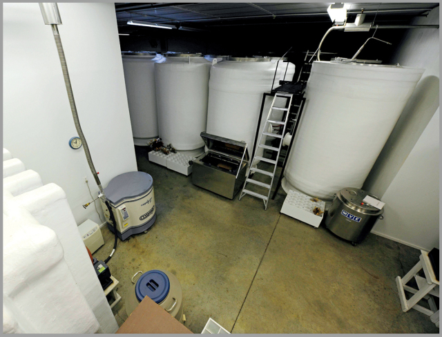 机构内部的液氮冷冻箱已接受部分人的冷冻需求.
