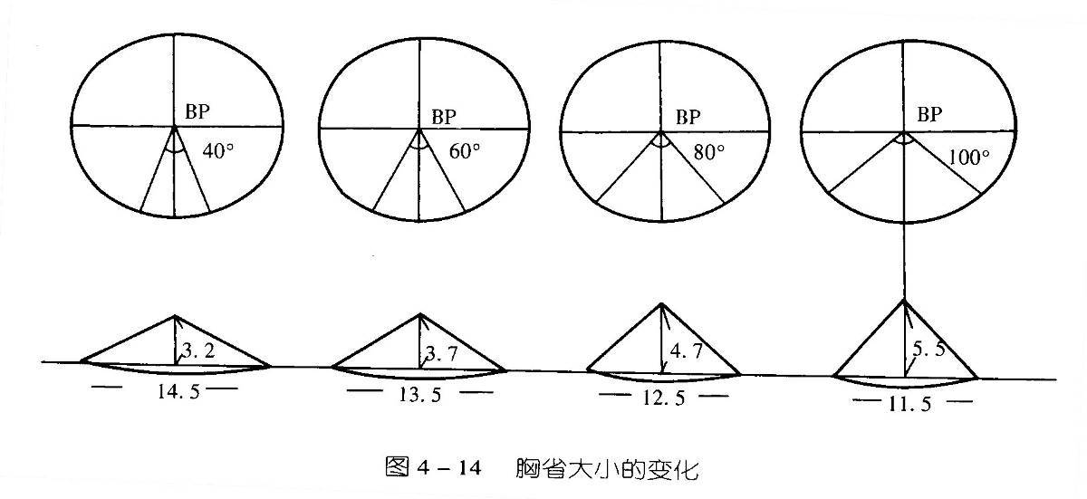 胸省的角度越小,圆锥体越扁平,宽度越宽; 胸省的角度越大,圆锥体越