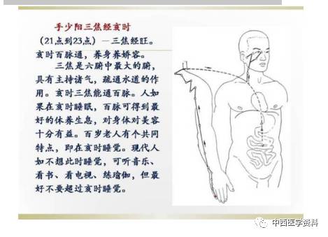 人體經絡圖解說明