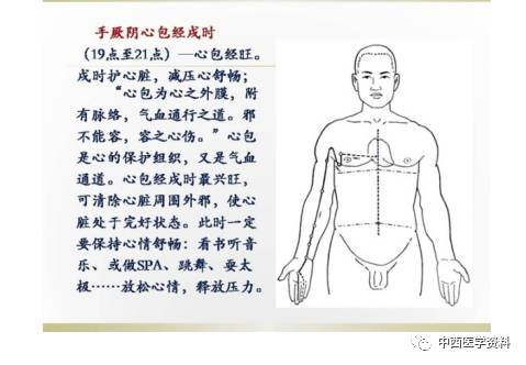 人體經絡圖解說明