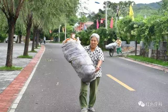 8月9日,大庄科乡市政市容所来到慈母川村.