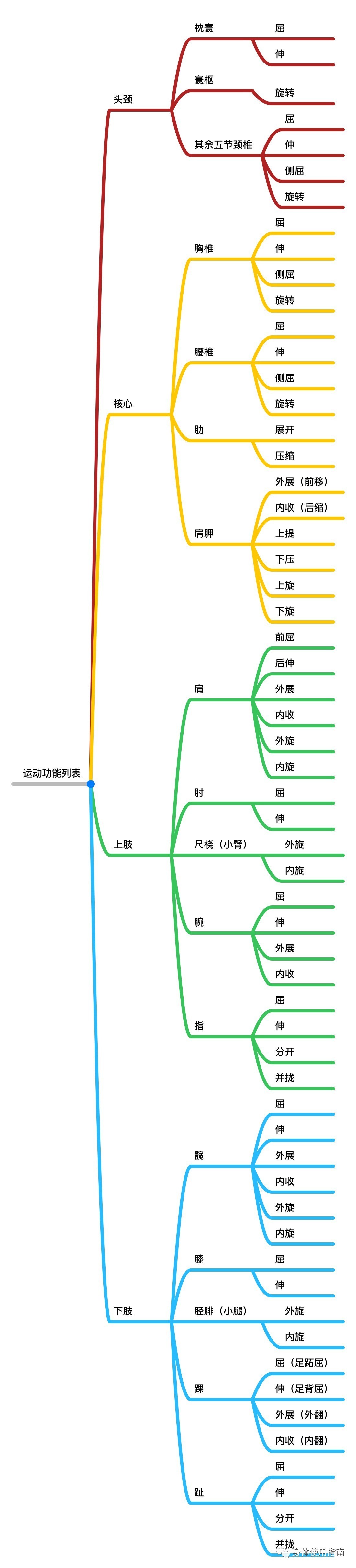 股骨前面为轮,形成轮轴杠杆,运动轨迹为轮轴旋转髋内旋&髋外旋当