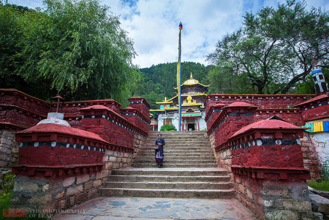 西藏林芝喇嘛林寺一座被鲜花簇拥的寺庙尼姑和喇嘛在同一经堂诵经