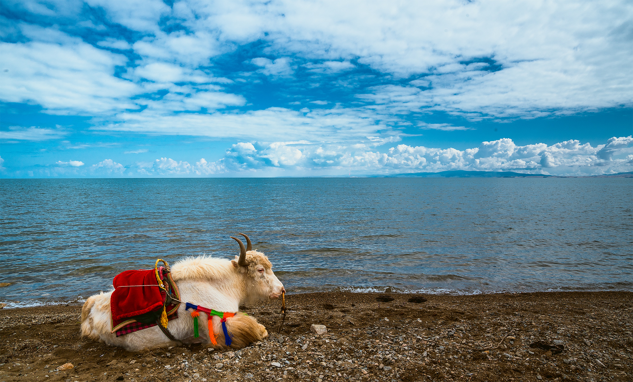 最美青海湖的图片图片