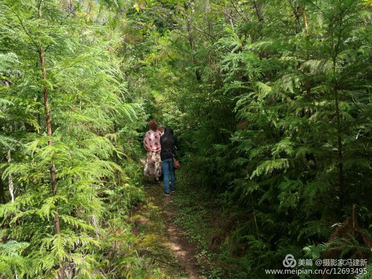 探秘苏马荡寻找原住民原始森林珍稀药材野菌省界