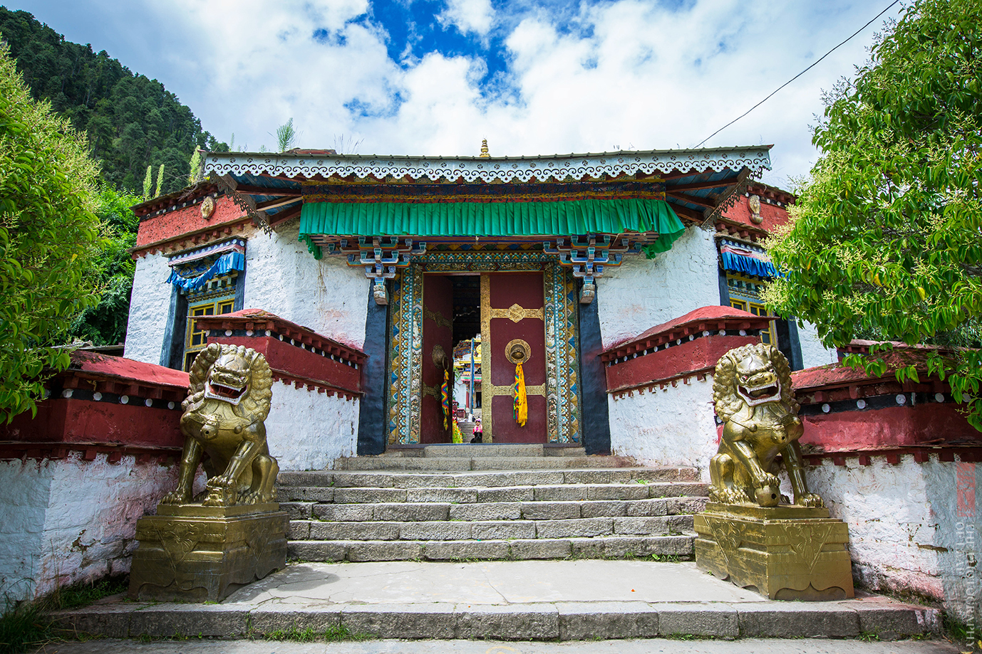 西藏林芝喇嘛林寺一座被鲜花簇拥的寺庙尼姑和喇嘛在同一经堂诵经