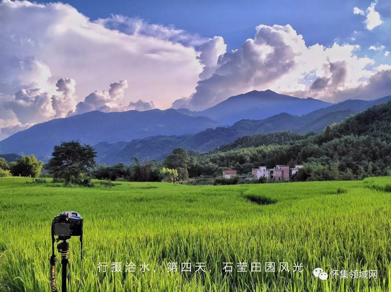 怀集老地谢朝芬图片