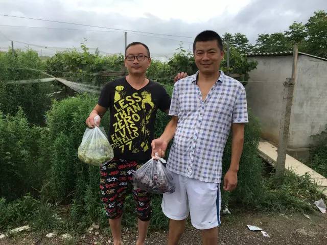 紧急求助鄂州重病果农万斤葡萄滞销还剩最后不到半个月采摘期