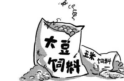 简笔画饲料图片