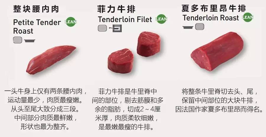 牛排指南牛排牛肉切割部位知識全攻略