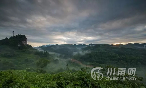 发现之旅烤烟收割季来叙永营山拍绝美风光