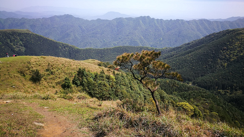 約嗎自駕越野與你相約高山草甸