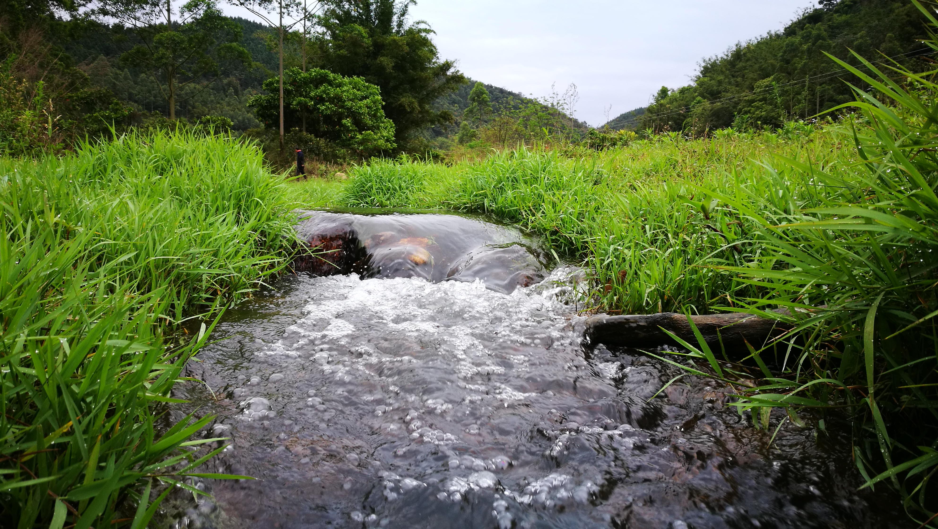 山由八座山脈組成屬廣義的粵西雲霧山脈之一廣東羅定船步鎮八排山導航