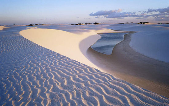 纳米布沙漠白色图片