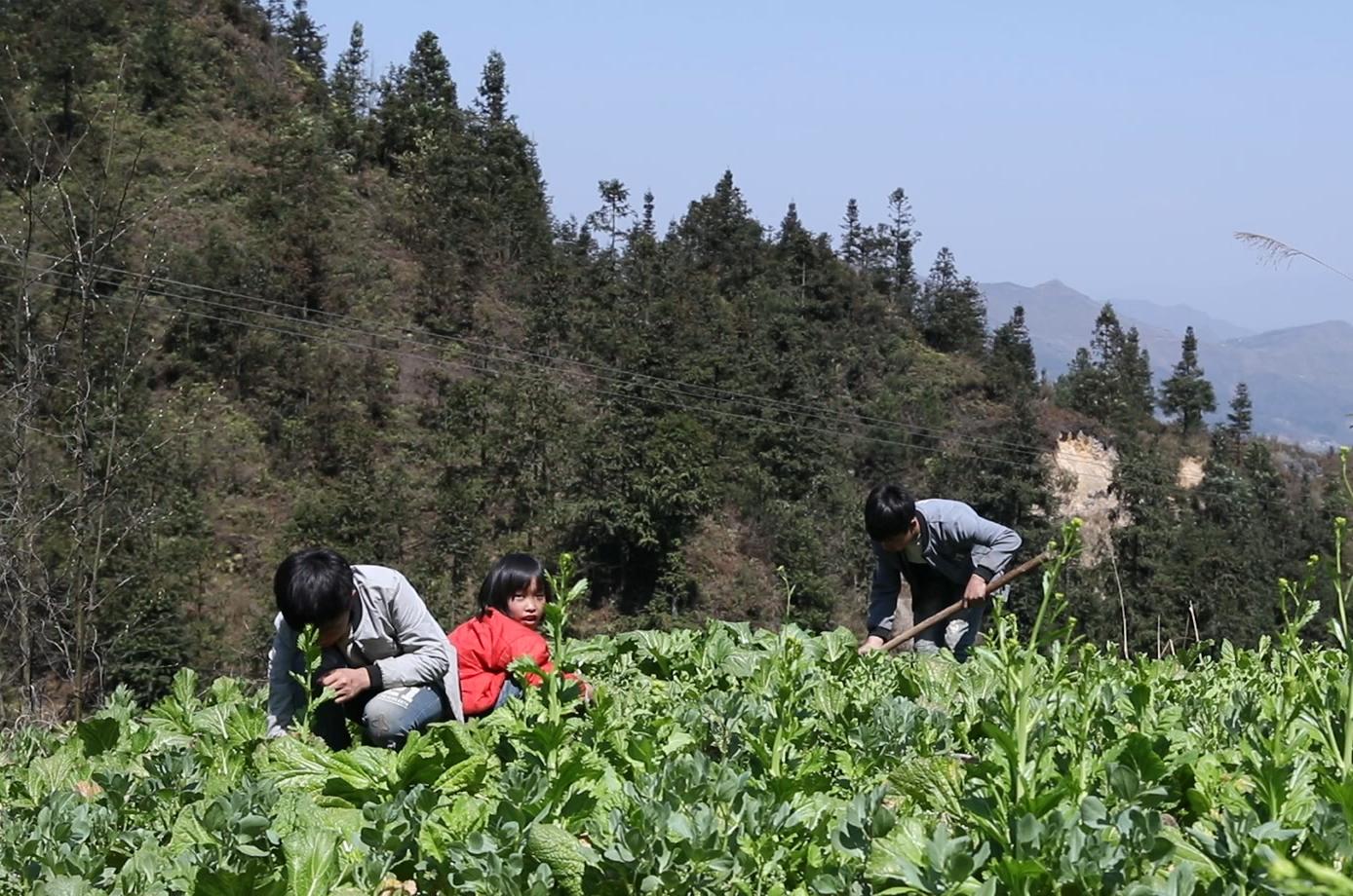 農村孩子早當家,這個15歲的男孩,已經是3個孩子的